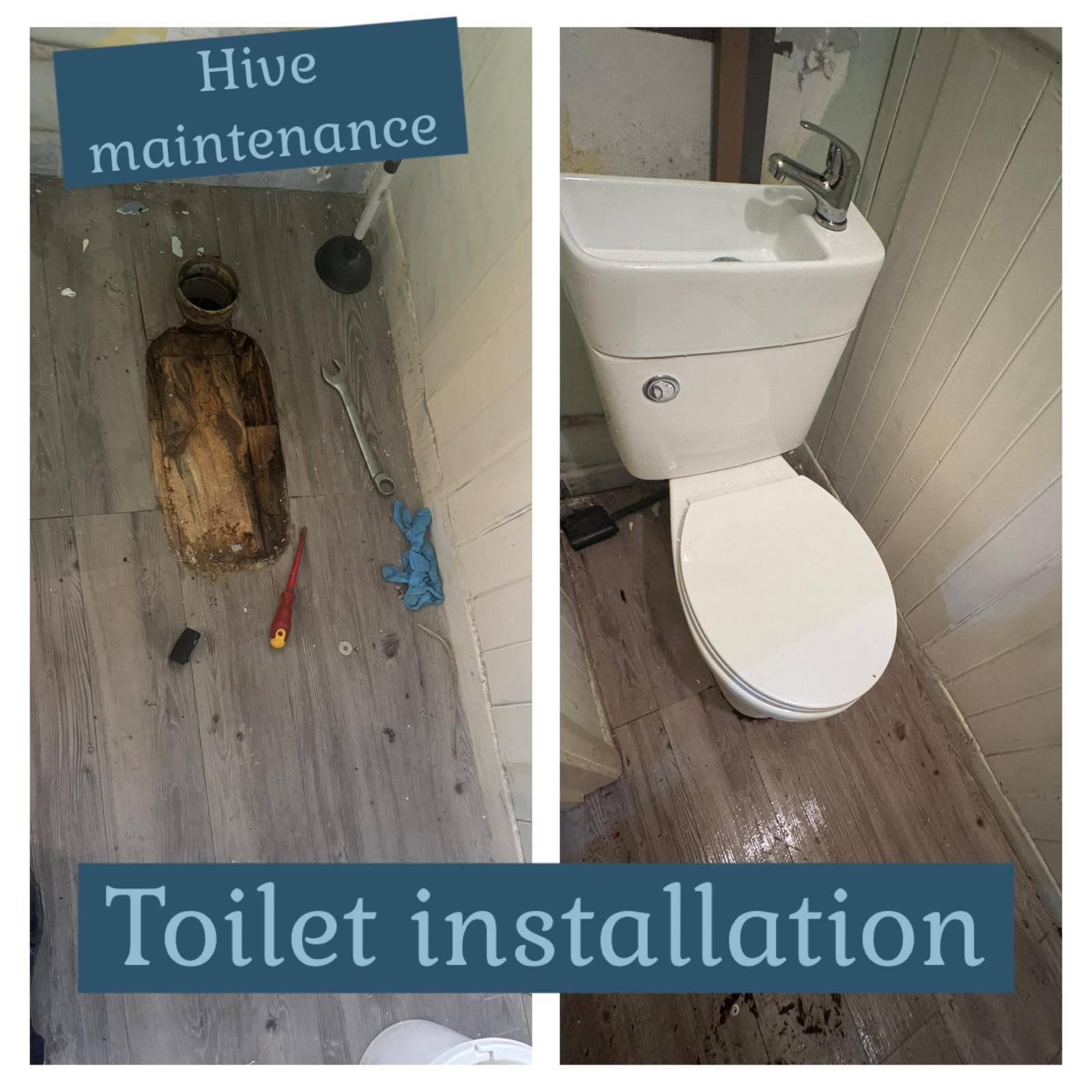 WhatsApp Image 2026-01-16 at 10.29.02 PM