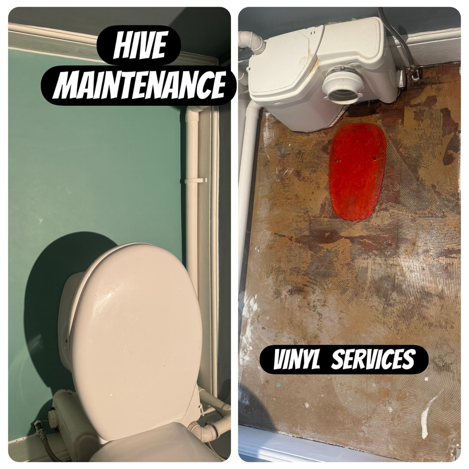 WhatsApp Image 2026-01-16 at 10.29.03 PM