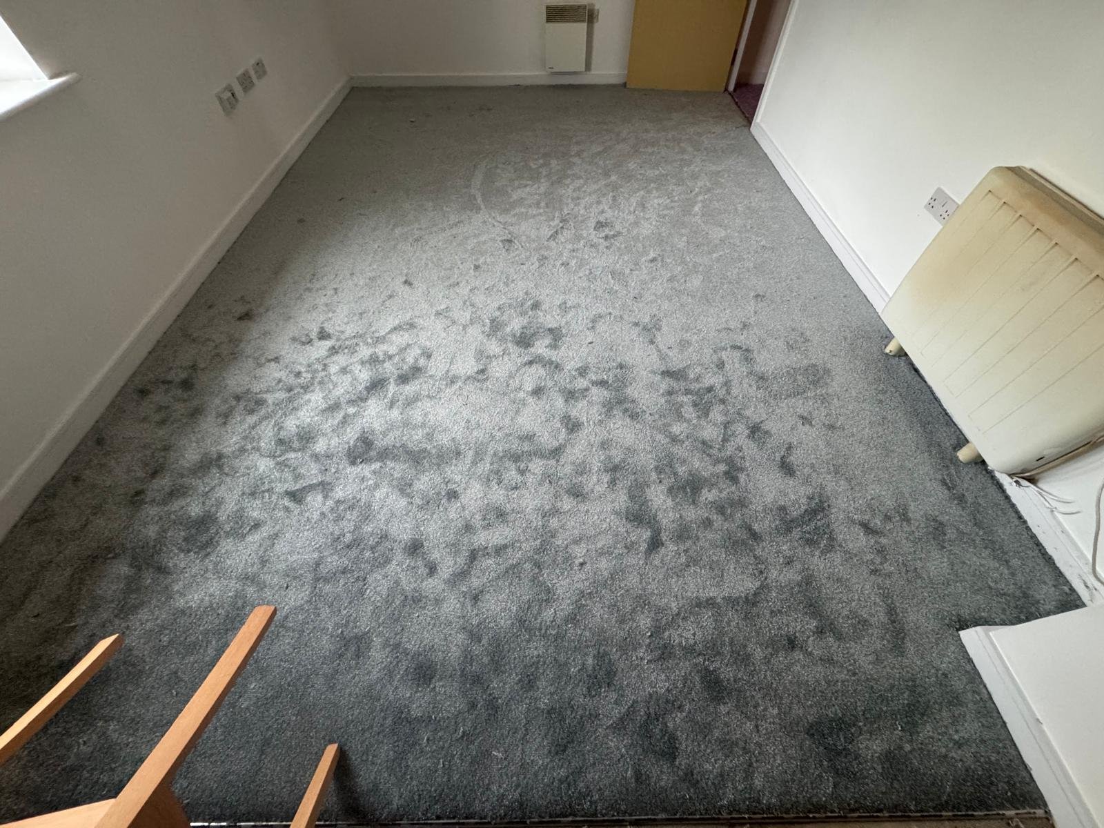 WhatsApp Image 2026-01-16 at 10.29.17 PM (2)