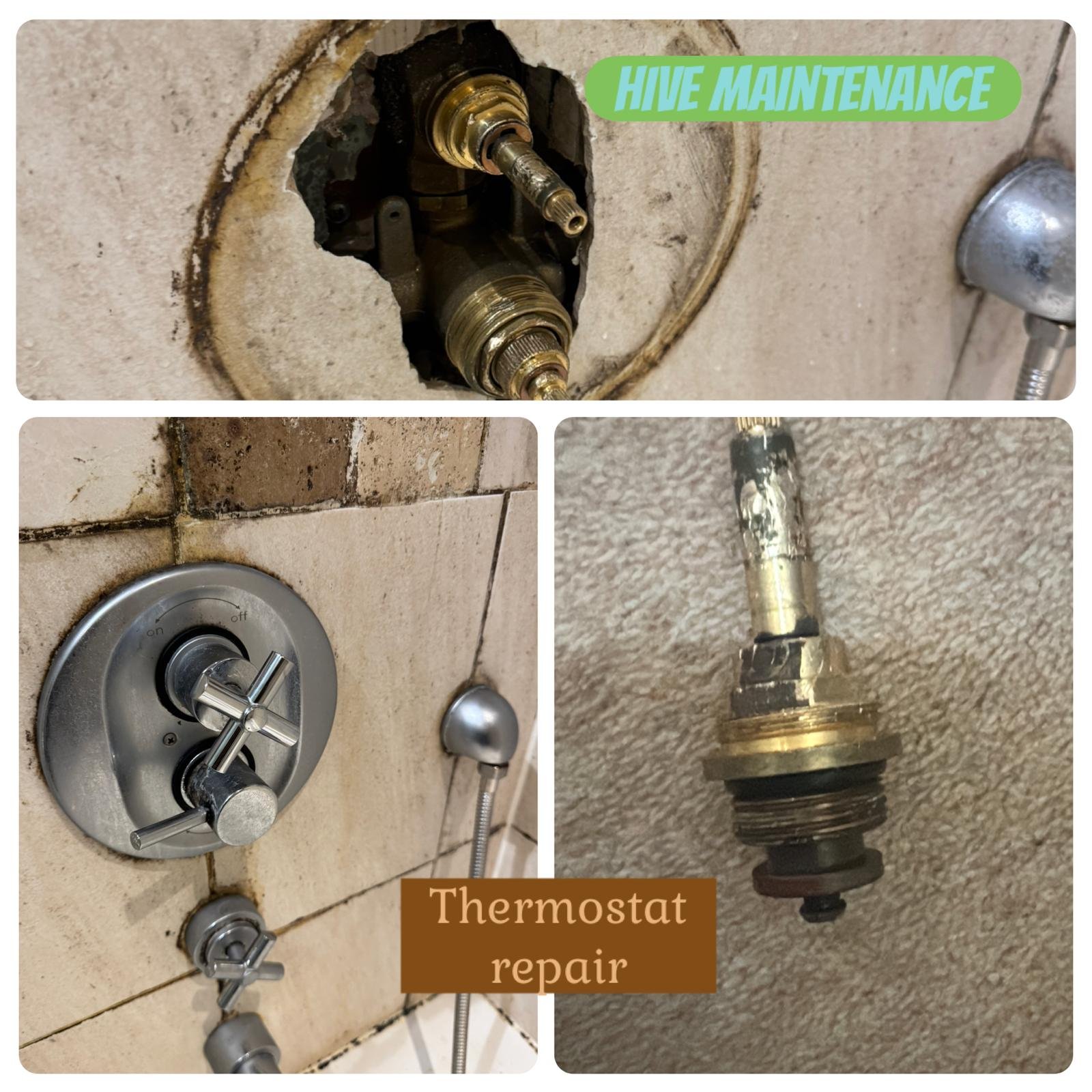 WhatsApp Image 2026-01-25 at 10.09.15 AM