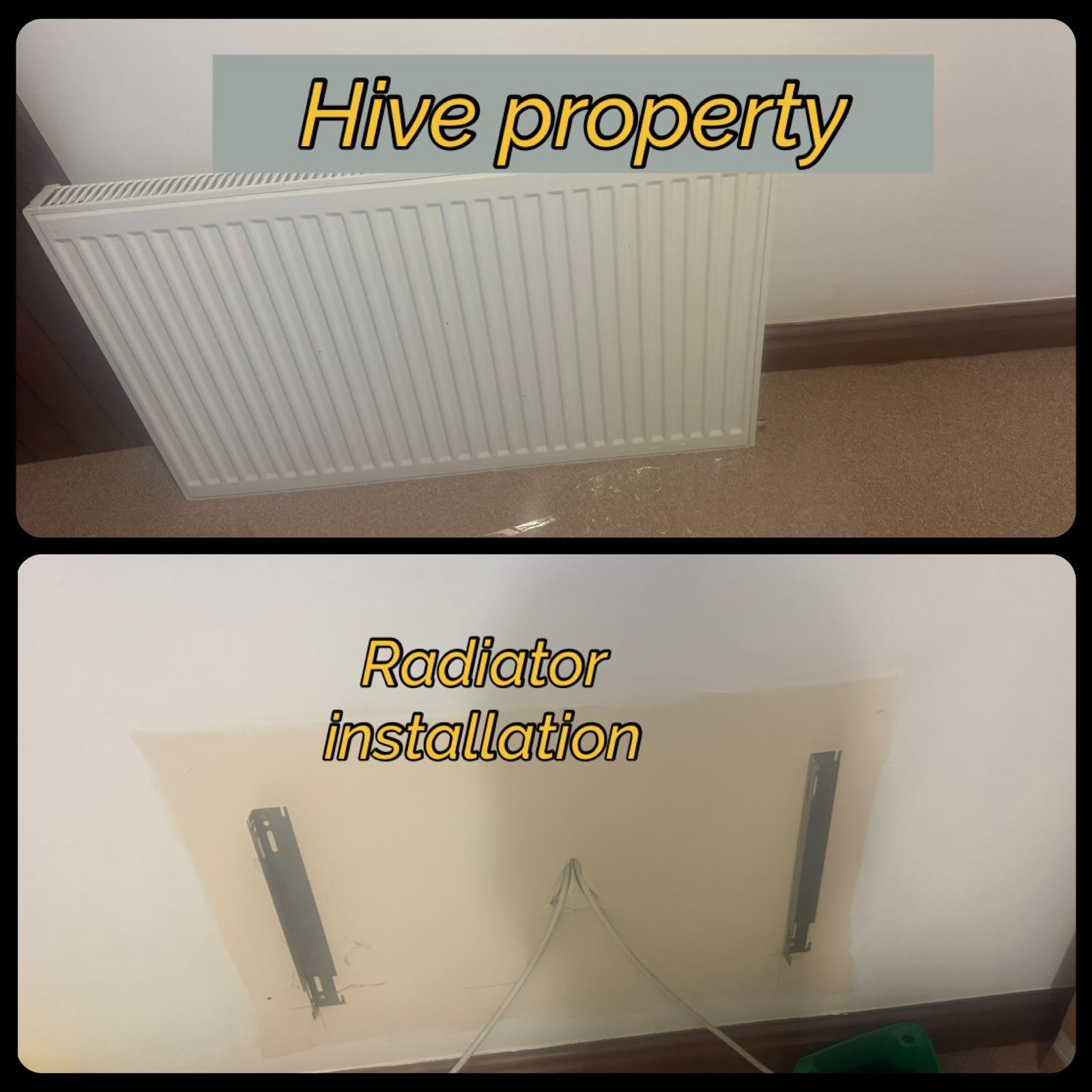 WhatsApp Image 2026-01-25 at 10.09.17 AM